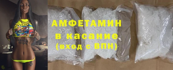 прущие грибы Вязники