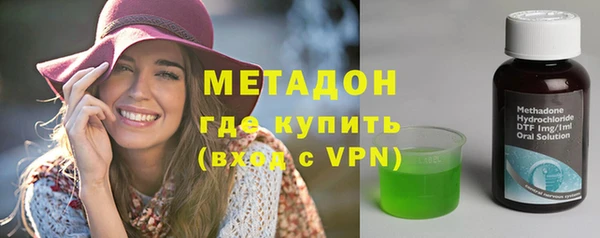 прущие грибы Вязники