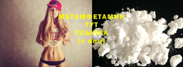 прущие грибы Вязники