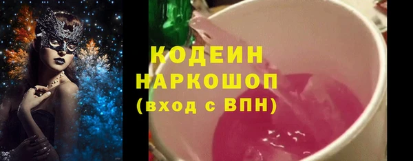 прущие грибы Вязники