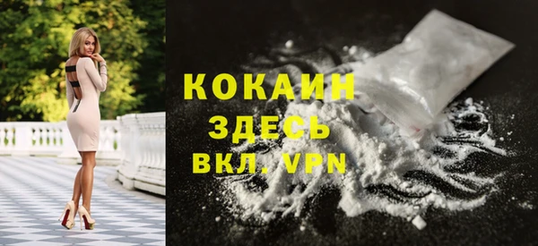 дмт Лиски