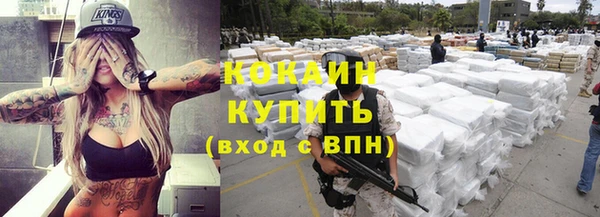 ешки Вяземский