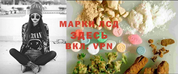 ешки Вяземский