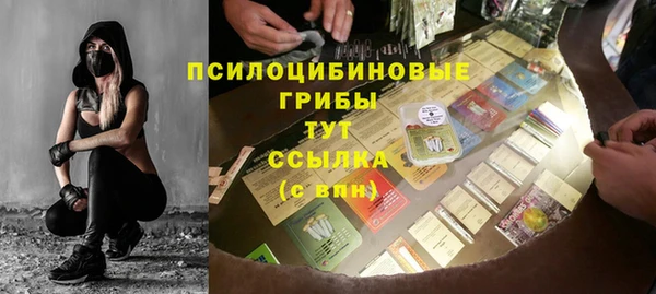 прущие грибы Вязники