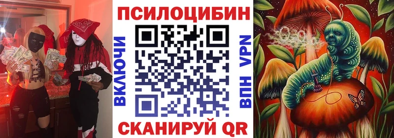 Галлюциногенные грибы Cubensis  закладка  Павловский Посад 